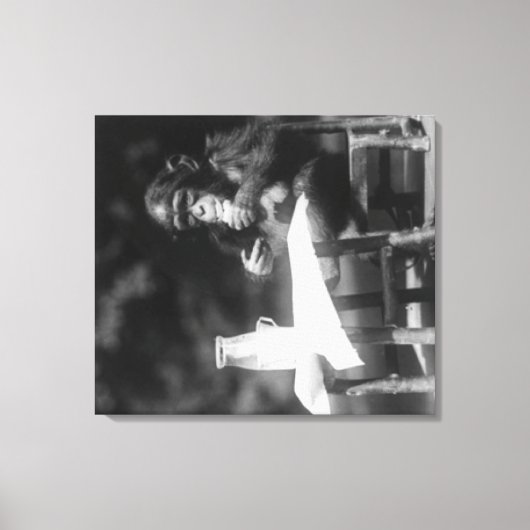 Chimpansee Zat op tafel in de nationale dierentuin Canvas Afdruk (Voorkant)