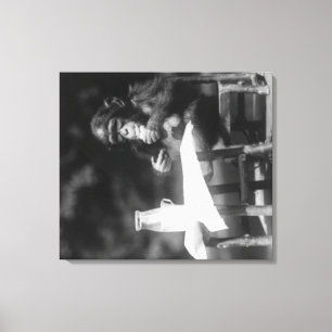 Chimpansee Zat op tafel in de nationale dierentuin Canvas Afdruk