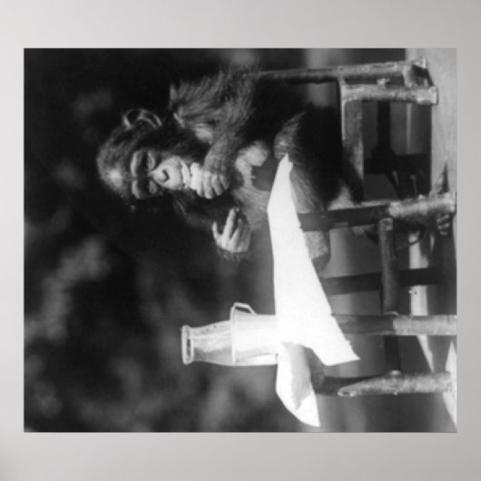 Chimpansee Zat op tafel in de nationale dierentuin Poster (Voorkant)