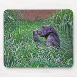 Chimpansee zittend in hoog gras muismat