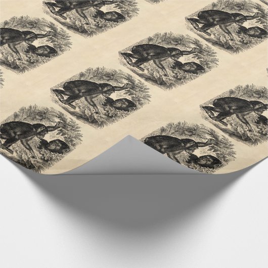  Chimpansees Sjabloon uit de 1800-landen Cadeaupapier (Hoek)