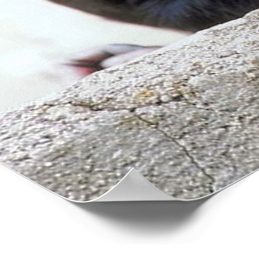 ChimpansePoster Poster (Hoek)