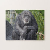 Chimpansepuzzel Legpuzzel (Horizontaal)