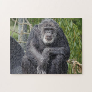 Chimpansepuzzel Legpuzzel