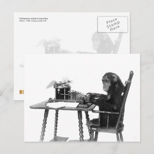 Chimpansetypering Briefkaart (Voorkant / Achterkant)