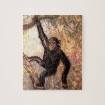Chimpanzee-aap van CE Swan,  wilde dieren