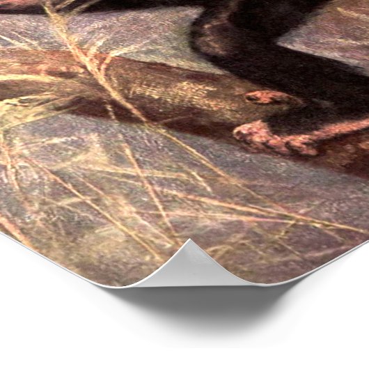 Chimpanzee-aap van CE Swan, wilde dieren Poster (Hoek)