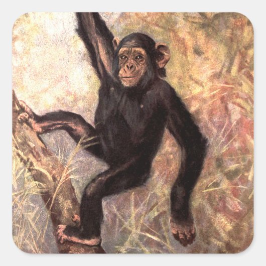 Chimpanzee-aap van CE Swan,  wilde dieren Vierkante Sticker (Voorkant)