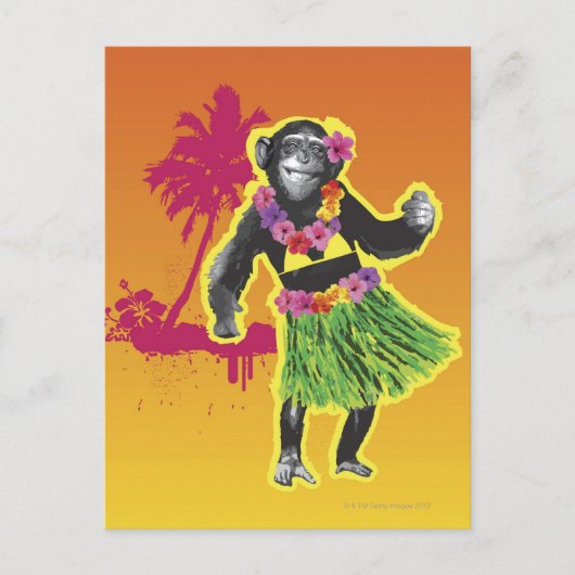 Chimpanzee Hula Dancing Briefkaart (Voorkant)