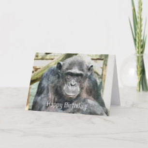 CHIMPANZEE KAART