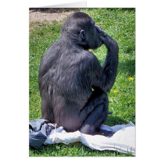 CHIMPANZEE Kaart (Voorkant)