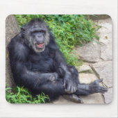 Chimpanzee Leaning On Rock Muismat (Voorkant)