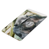 CHIMPANZEE MAGNEET (Linkerzijde)