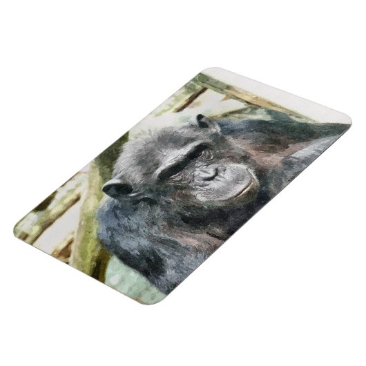 CHIMPANZEE MAGNEET (Linkerzijde)