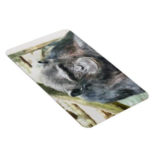 CHIMPANZEE MAGNEET (Rechterzijde)