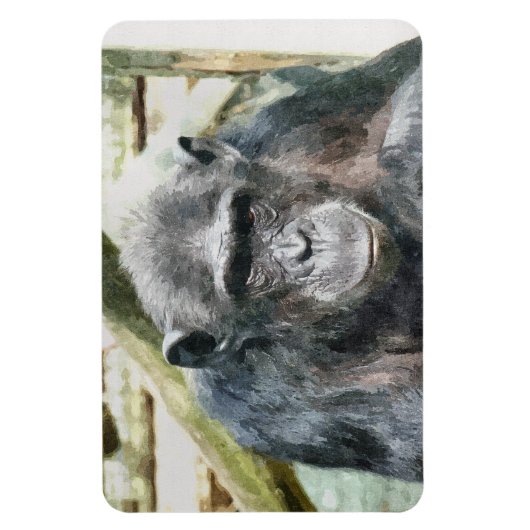 CHIMPANZEE MAGNEET (Verticaal)