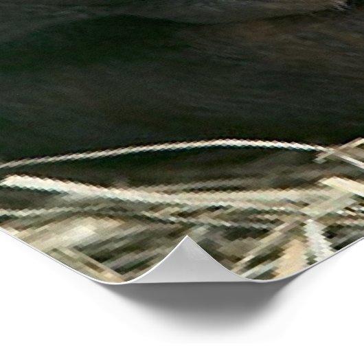 CHIMPANZEE MOEDER EN KIND POSTER (Hoek)