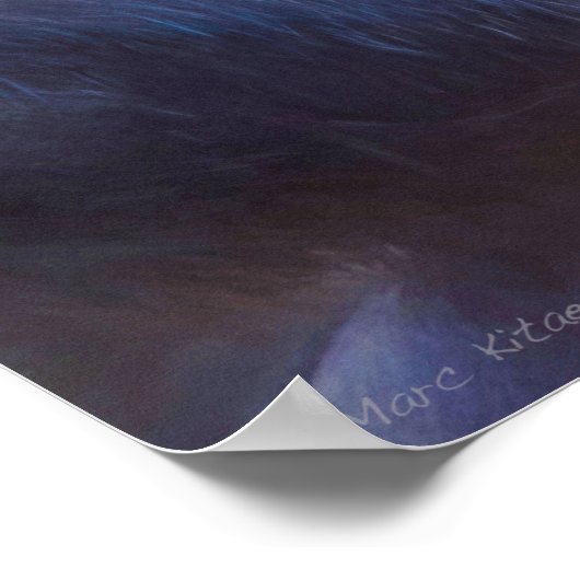 CHIMPANZEE MONKEY CHIMPIANNA JONES POSTER (Hoek)