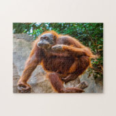 Chimpanzee Monkey. Jigzaag Puzzle Legpuzzel (Horizontaal)