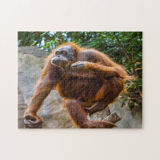 Chimpanzee Monkey. Jigzaag Puzzle Legpuzzel (Horizontaal)