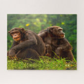 Chimpanzee Monkey. Legpuzzel (Horizontaal)