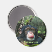 CHIMPANZEE & OERWOUD Primaat Wildlife Kunstmagneet Magneet (Voorkant / Achterkant)