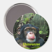 CHIMPANZEE & OERWOUD Primaat Wildlife Kunstmagneet Magneet (Voorkant / Achterkant)