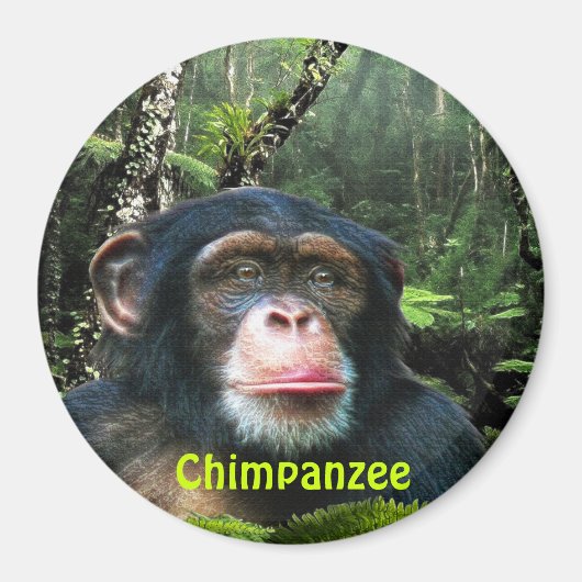 CHIMPANZEE & OERWOUD Primaat Wildlife Kunstmagneet Magneet (Voorkant)