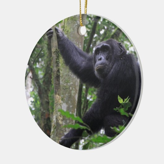 Chimpanzee Ornament (Links)