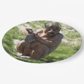 CHIMPANZEE PAPIEREN BORDJE (Gekanteld)