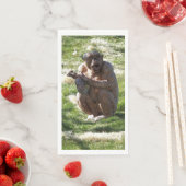 CHIMPANZEE SERVET (Insitu)