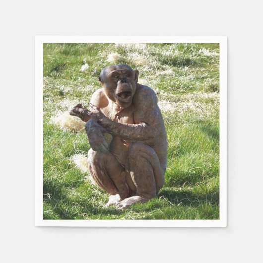 CHIMPANZEE SERVET (Voorkant)