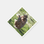 CHIMPANZEE SERVET (Hoek)