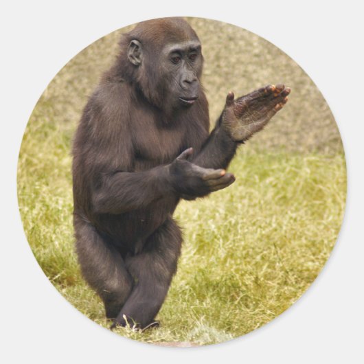Chimpanzee Sticker (Voorkant)