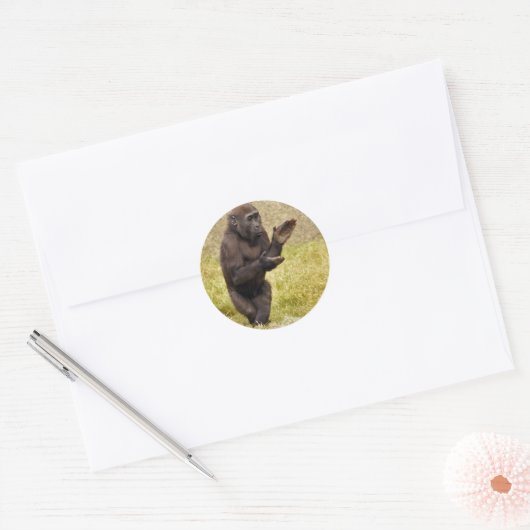 Chimpanzee Sticker (Envelop)