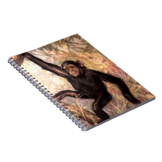 chimpanzeehangingintree002_original notitieboek (Rechterzijde)