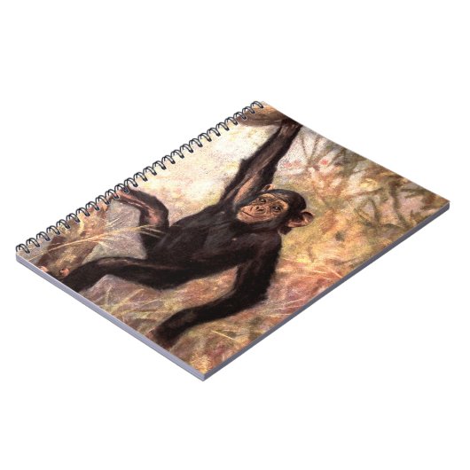 chimpanzeehangingintree002_original notitieboek (Linkerzijde)