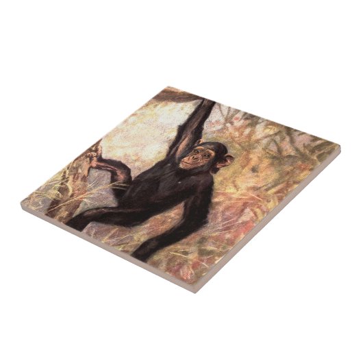 chimpanzeehangingintree002_original tegeltje (Zijkant)