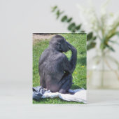 CHIMPANZES BRIEFKAART (Staand voorkant)