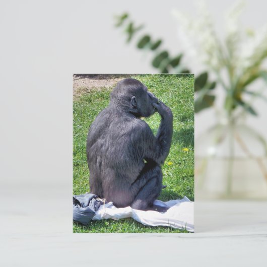 CHIMPANZES BRIEFKAART (Staand voorkant)