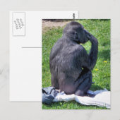 CHIMPANZES BRIEFKAART (Voorkant / Achterkant)