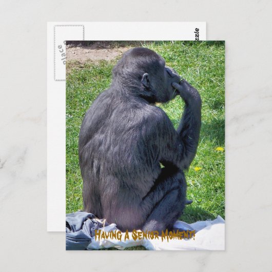 CHIMPANZES BRIEFKAART (Voorkant / Achterkant)