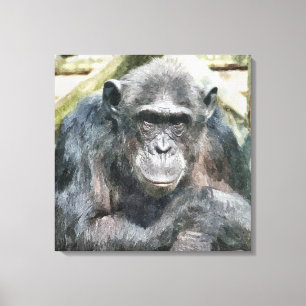 CHIMPANZES CANVAS AFDRUK
