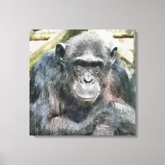 CHIMPANZES CANVAS AFDRUK (Voorkant)