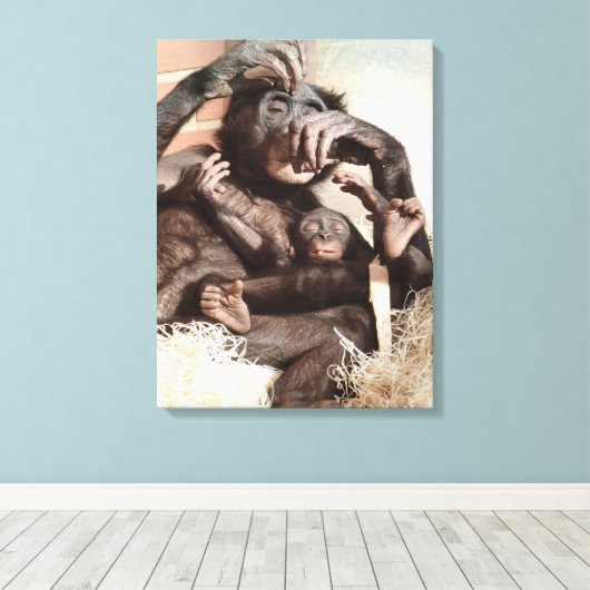 CHIMPANZES CANVAS AFDRUK (Insitu (Houten vloer))