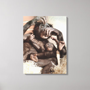 CHIMPANZES CANVAS AFDRUK