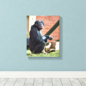 CHIMPANZES CANVAS AFDRUK (Insitu (Houten vloer))