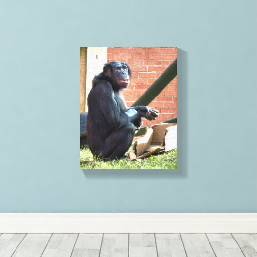 CHIMPANZES CANVAS AFDRUK (Insitu (Houten vloer))