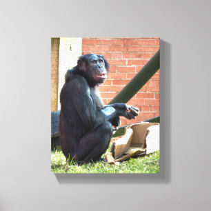 CHIMPANZES CANVAS AFDRUK