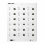 CHIMPANZES ETIKET (Full Sheet)